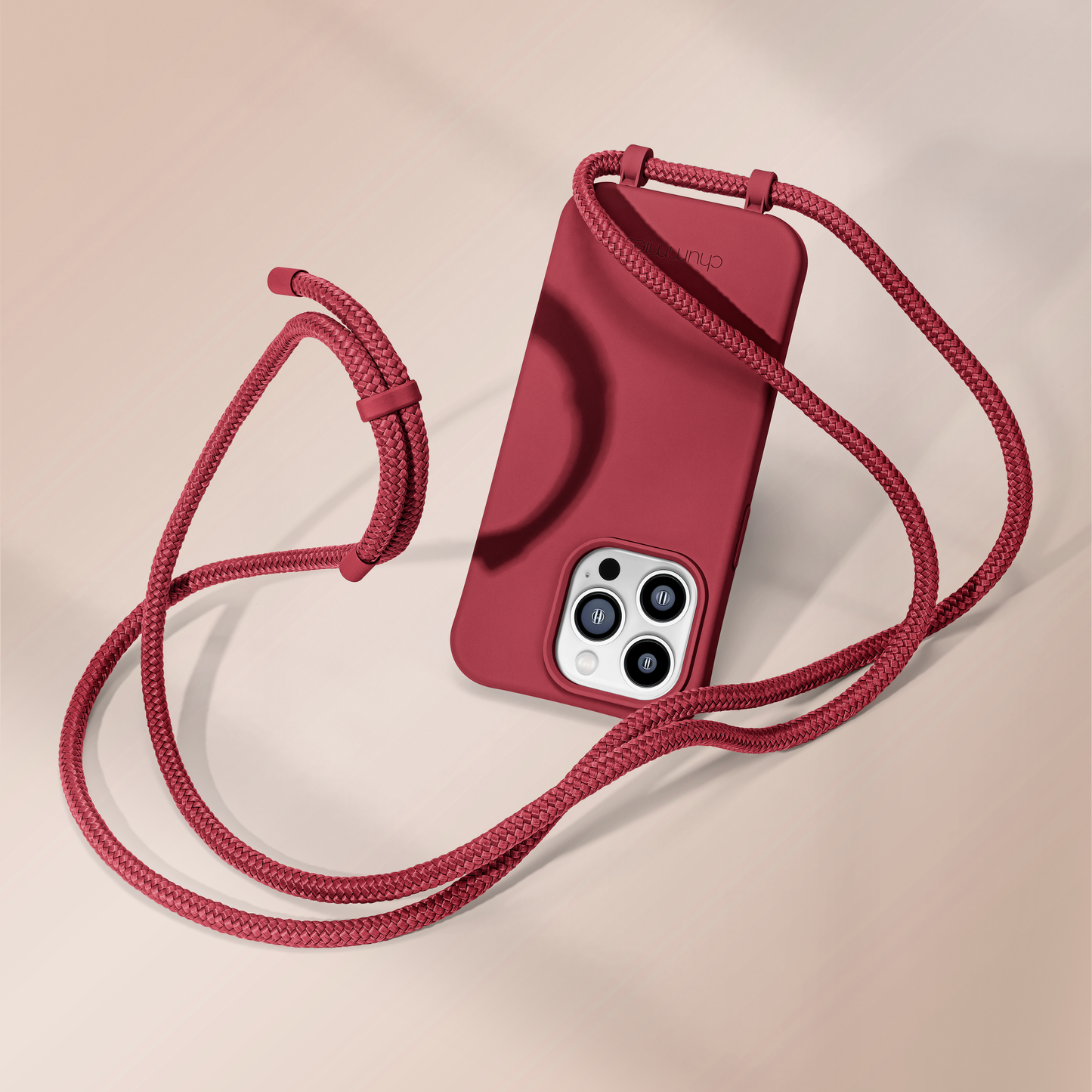 The Ace Case - Berry