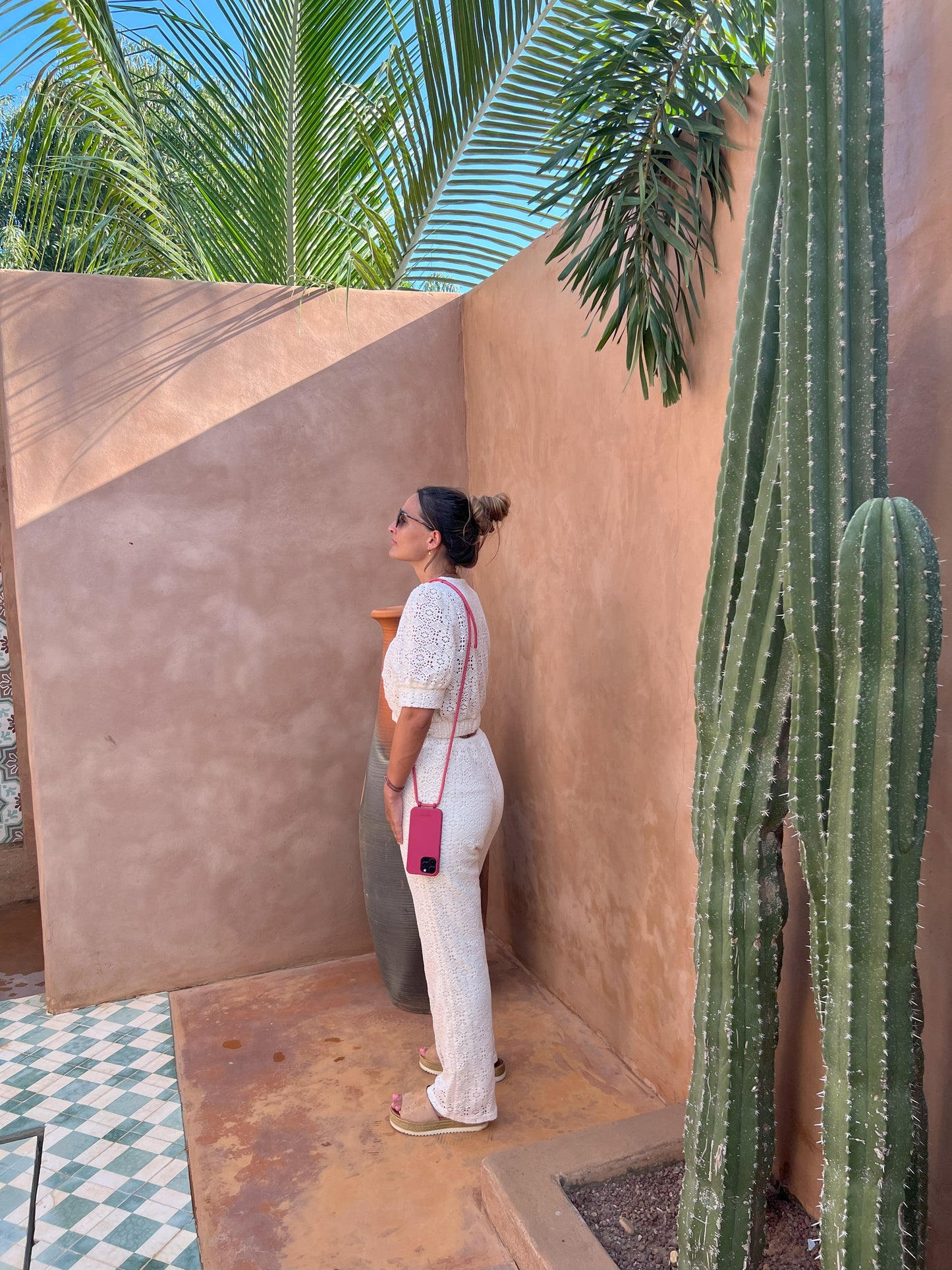 The Ace Case - Berry